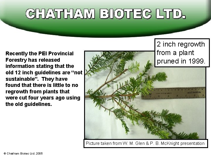 Recently the PEI Provincial Forestry has released information stating that the old 12 inch