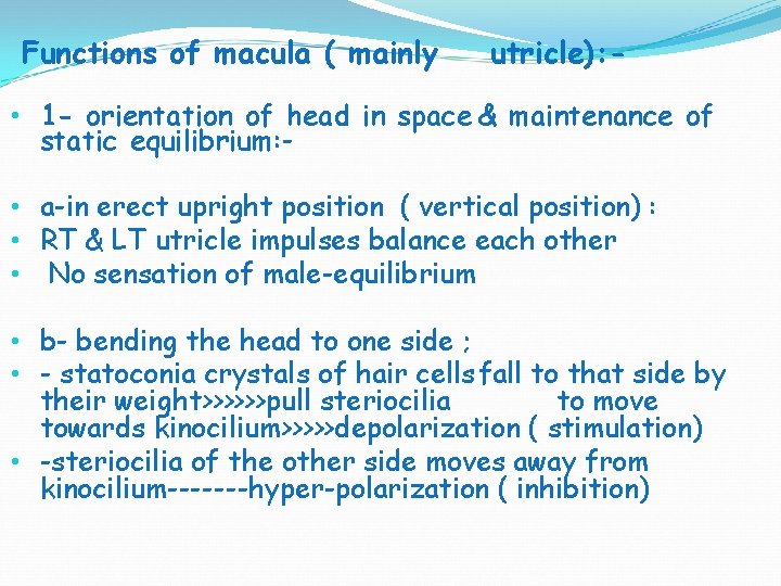 Functions of macula ( mainly utricle): - • 1 - orientation of head in