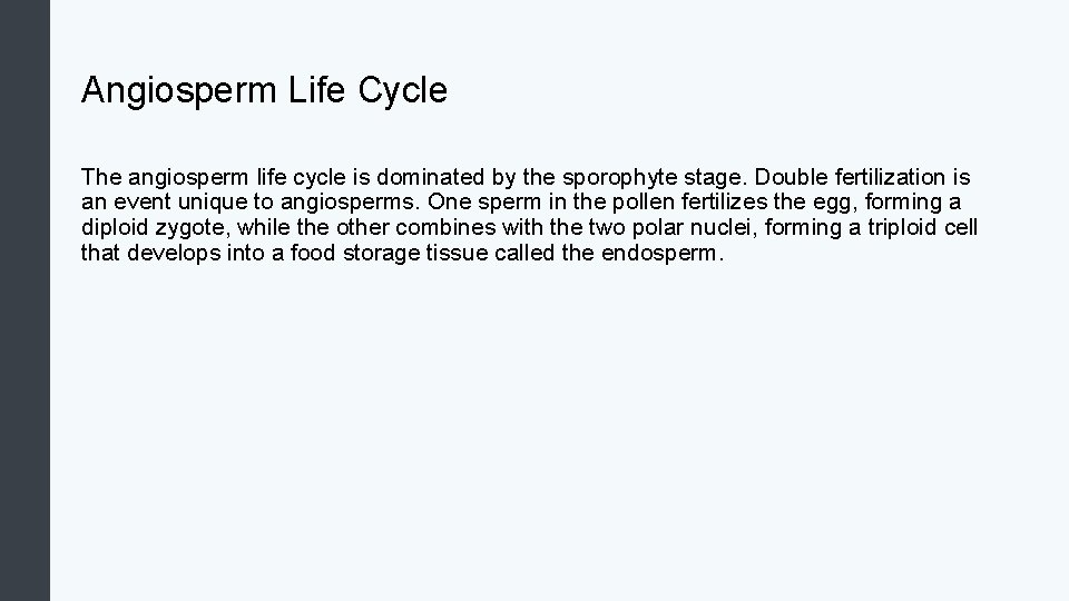 Angiosperm Life Cycle The angiosperm life cycle is dominated by the sporophyte stage. Double