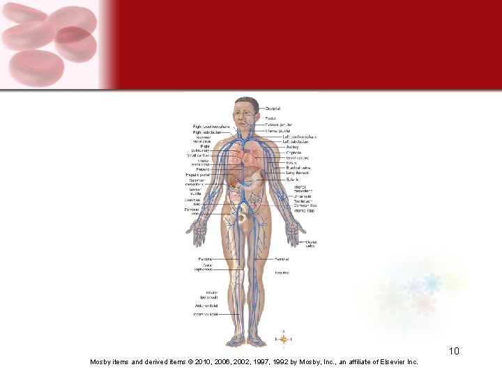 10 Mosby items and derived items © 2010, 2006, 2002, 1997, 1992 by Mosby,