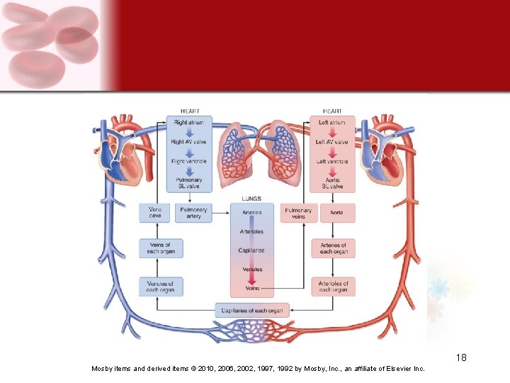 18 Mosby items and derived items © 2010, 2006, 2002, 1997, 1992 by Mosby,