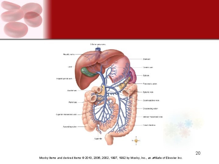 20 Mosby items and derived items © 2010, 2006, 2002, 1997, 1992 by Mosby,
