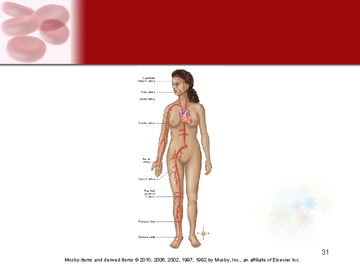 31 Mosby items and derived items © 2010, 2006, 2002, 1997, 1992 by Mosby,