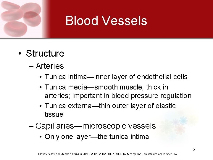 Blood Vessels • Structure – Arteries • Tunica intima—inner layer of endothelial cells •