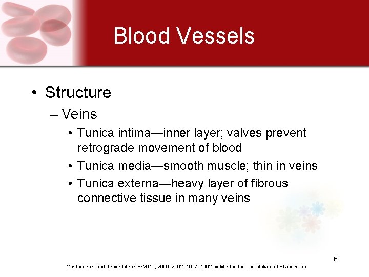 Blood Vessels • Structure – Veins • Tunica intima—inner layer; valves prevent retrograde movement