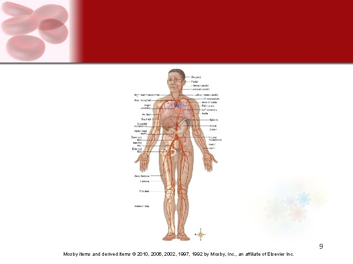 9 Mosby items and derived items © 2010, 2006, 2002, 1997, 1992 by Mosby,