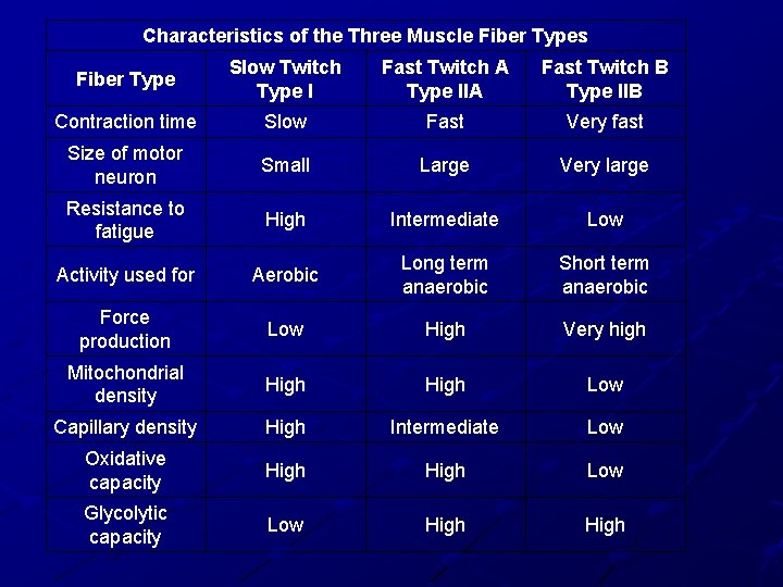 Characteristics of the Three Muscle Fiber Types Fiber Type Slow Twitch Type I Fast Characteristics of the Three Muscle Fiber Types Fiber Type Slow Twitch Type I Fast