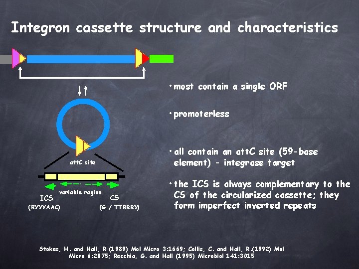 Integron cassette structure and characteristics • most contain a single ORF • promoterless •