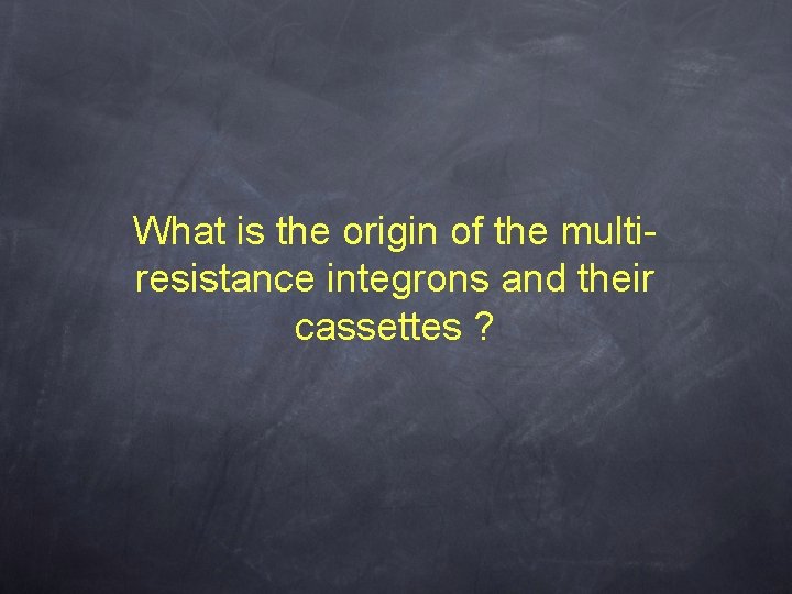 What is the origin of the multiresistance integrons and their cassettes ? 