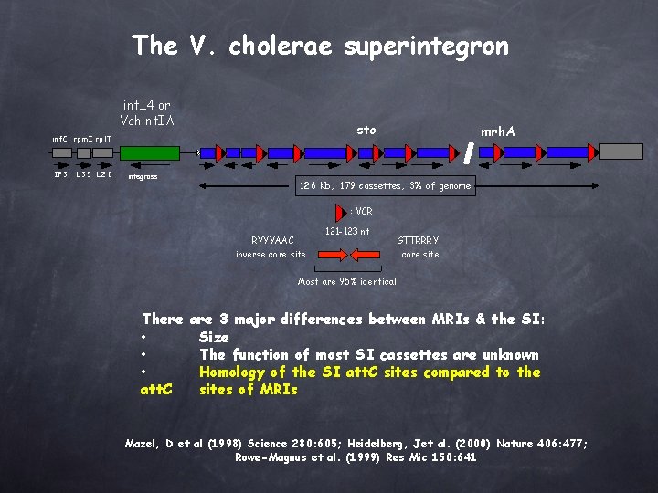 The V. cholerae superintegron int. I 4 or Vchint. IA sto i n f.