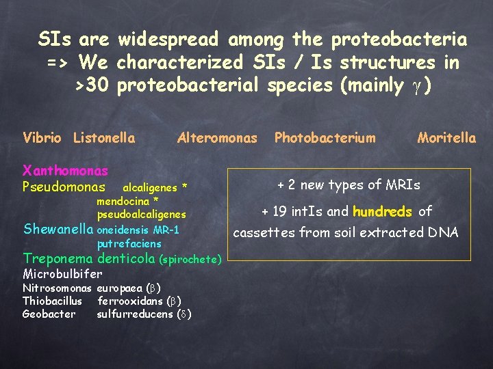SIs are widespread among the proteobacteria => We characterized SIs / Is structures in