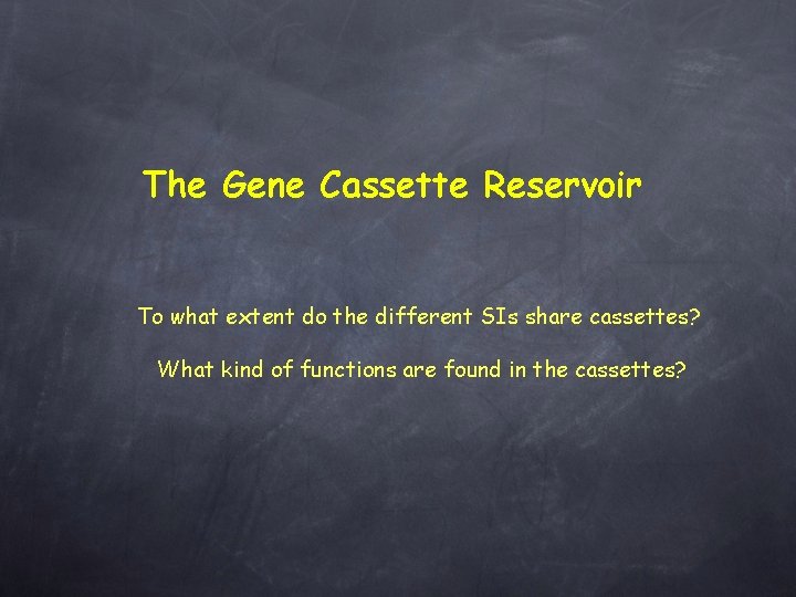 The Gene Cassette Reservoir To what extent do the different SIs share cassettes? What