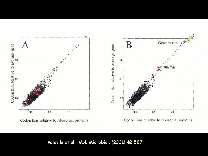 Vaisvila et al. Mol. Microbiol. (2001) 42: 587 