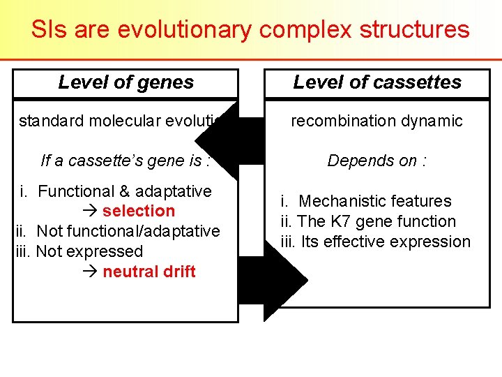 SIs are evolutionary complex structures Level of genes Level of cassettes standard molecular evolution