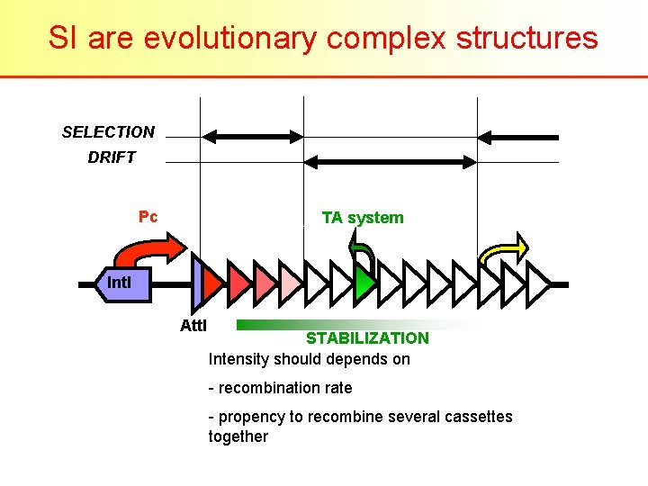 SI are evolutionary complex structures SELECTION DRIFT Pc TA system Int. I Att. I