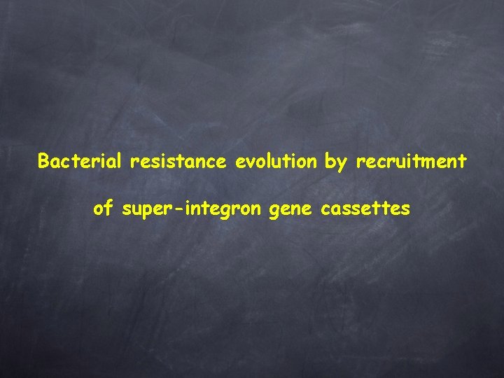 Bacterial resistance evolution by recruitment of super-integron gene cassettes 