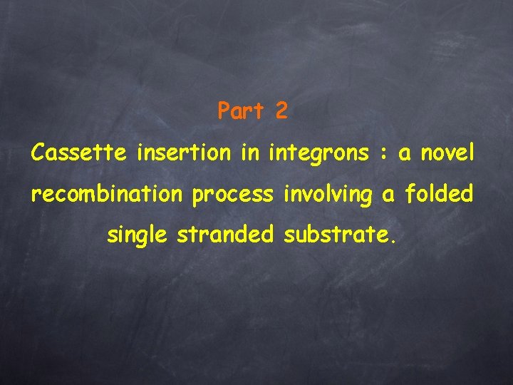 Part 2 Cassette insertion in integrons : a novel recombination process involving a folded