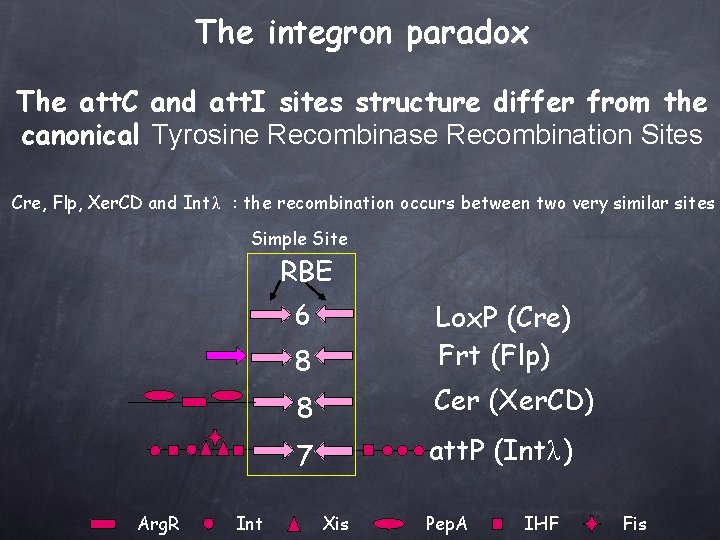 The integron paradox The att. C and att. I sites structure differ from the