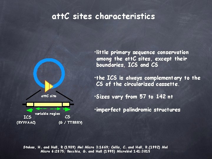 att. C sites characteristics • little primary sequence conservation among the att. C sites,