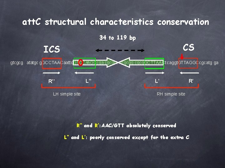 att. C structural characteristics conservation 34 to 119 bp CS ICS gtcgcg atatgc g.