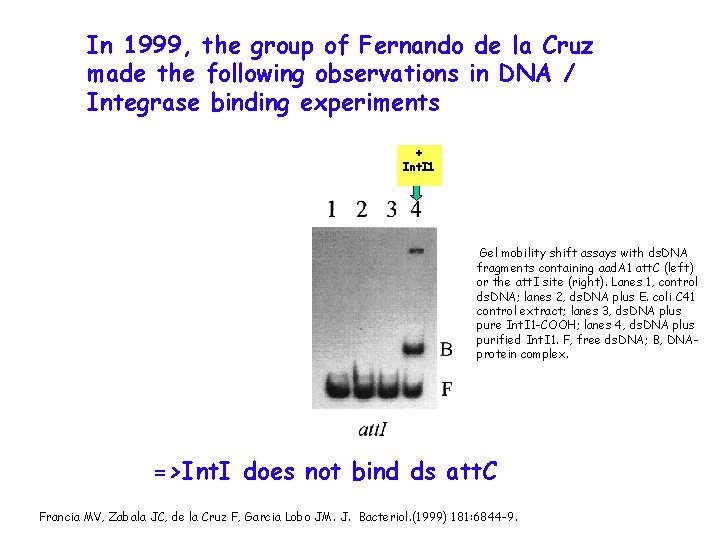 In 1999, the group of Fernando de la Cruz made the following observations in