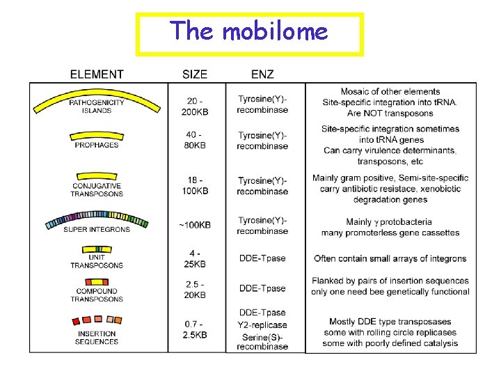 The mobilome 