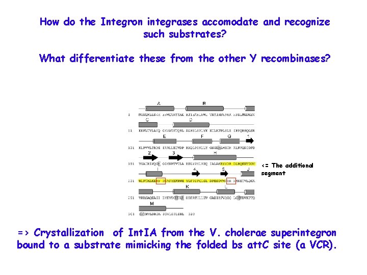 How do the Integron integrases accomodate and recognize such substrates? What differentiate these from