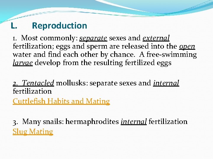 L. Reproduction 1. Most commonly: separate sexes and external fertilization; eggs and sperm are