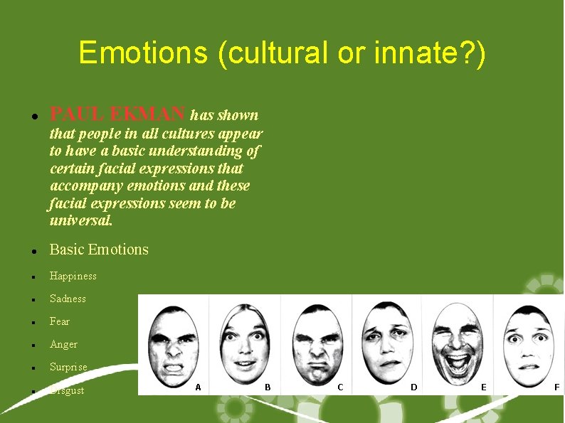 Emotions (cultural or innate? ) PAUL EKMAN has shown that people in all cultures
