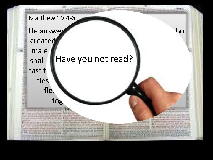 Matthew 19: 4 -6 He answered, “Have you not read that he who created
