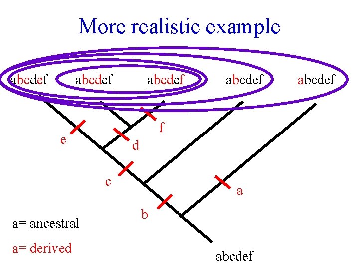 More realistic example abcdef f e d c a= ancestral a= derived abcdef a