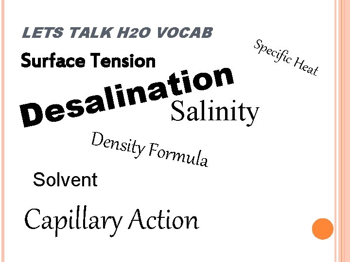 LETS TALK H 2 O VOCAB Surface Tension n o i t na i