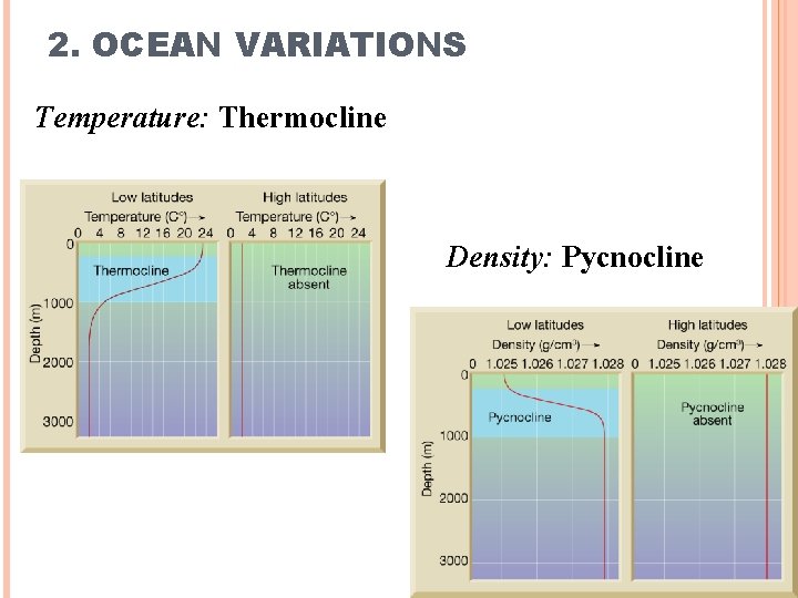 2. OCEAN VARIATIONS Temperature: Thermocline Density: Pycnocline 