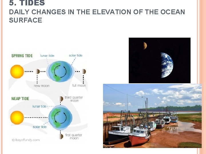 5. TIDES DAILY CHANGES IN THE ELEVATION OF THE OCEAN SURFACE 