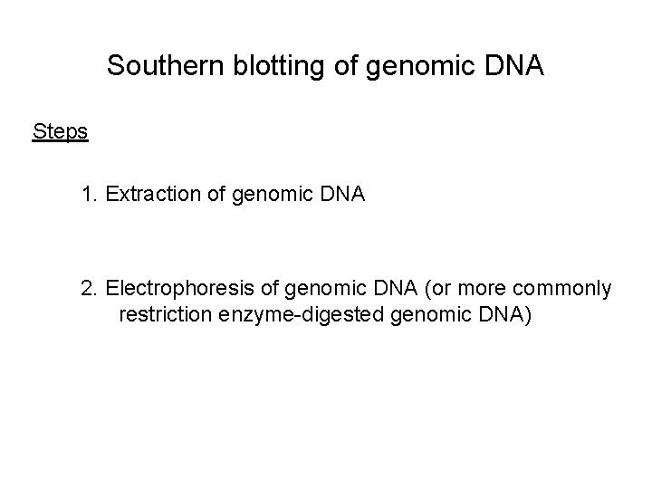 Southern blotting of genomic DNA Steps 1. Extraction of genomic DNA 2. Electrophoresis of
