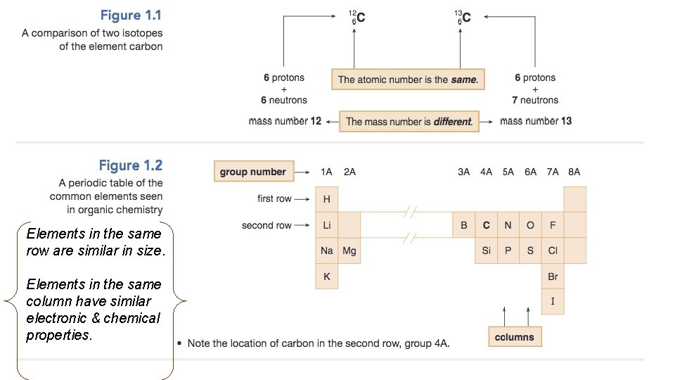 Elements in the same row are similar in size. Elements in the same column