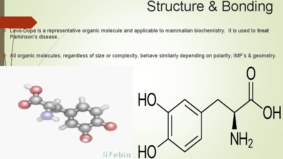 Structure & Bonding Levo-Dopa is a representative organic molecule and applicable to mammalian biochemistry.