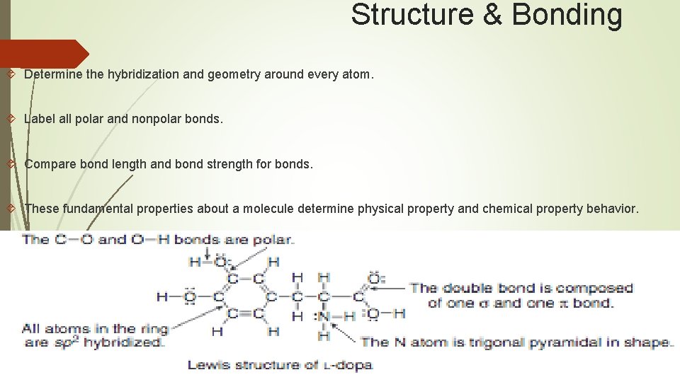 Structure & Bonding Determine the hybridization and geometry around every atom. Label all polar