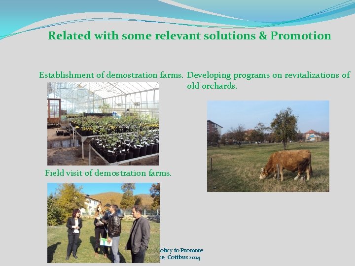 Related with some relevant solutions & Promotion Establishment of demostration farms. Developing programs on