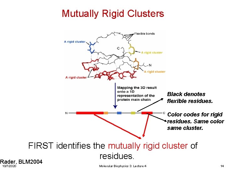 Mutually Rigid Clusters Black denotes flexible residues. Color codes for rigid residues. Same color