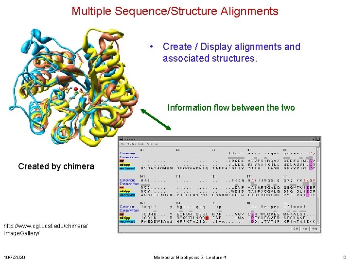 Multiple Sequence/Structure Alignments • Create / Display alignments and associated structures. Information flow between