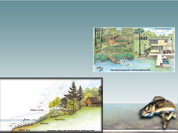 http: //assuredcomputer. com/loa/pollution. html http: //www. rideau-info. com/local_landscape. html 