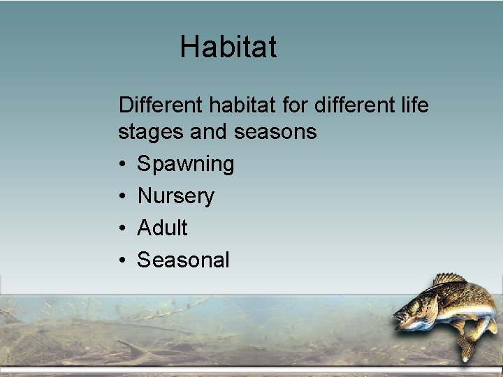 Habitat Different habitat for different life stages and seasons • Spawning • Nursery •