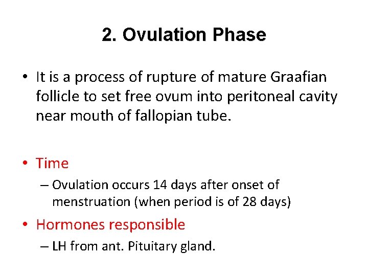 2. Ovulation Phase • It is a process of rupture of mature Graafian follicle