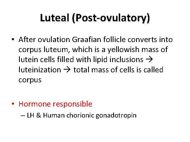 Luteal (Post-ovulatory) • After ovulation Graafian follicle converts into corpus luteum, which is a