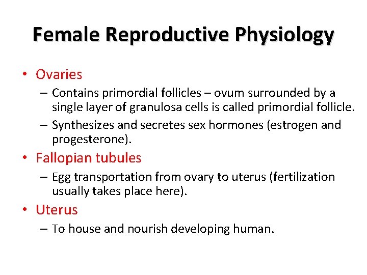 Female Reproductive Physiology • Ovaries – Contains primordial follicles – ovum surrounded by a