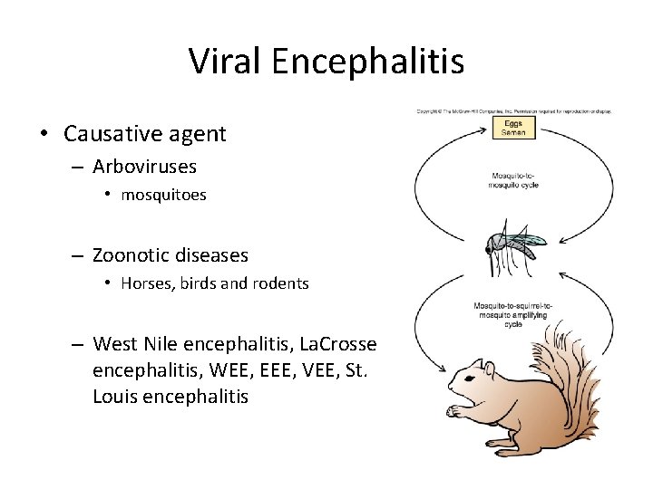Viral Encephalitis • Causative agent – Arboviruses • mosquitoes – Zoonotic diseases • Horses,