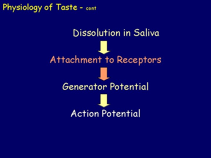 Physiology of Taste - cont Dissolution in Saliva Attachment to Receptors Generator Potential Action Physiology of Taste - cont Dissolution in Saliva Attachment to Receptors Generator Potential Action