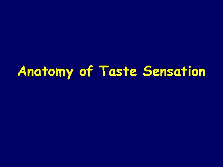 Anatomy of Taste Sensation 