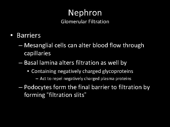 Nephron Glomerular Filtration • Barriers – Mesanglial cells can alter blood flow through capillaries